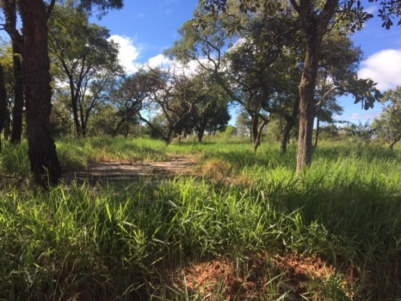 Imagem Terreno à Venda, 500 m² em Jardim Mary - Bauru Imagem Terreno à Venda, 500 m² em Jardim Mary - Bauru