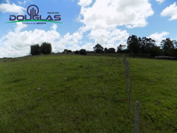 Imagem Chácara com 2 Quartos à Venda, 190.000 m² em Viamão