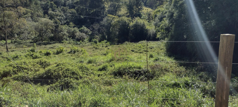 Imagem Chácara com 3 Quartos à Venda, em Curralinho - Lagoinha Imagem Chácara com 3 Quartos à Venda, em Curralinho - Lagoinha