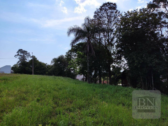 Imagem Terreno à Venda, 515 m² em Linha Santa Cruz - Santa Cruz Do Sul Imagem Terreno à Venda, 515 m² em Linha Santa Cruz - Santa Cruz Do Sul