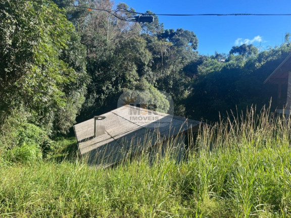 Imagem Casa com 2 Quartos à Venda, 336 m² em Pousada Da Neve - Nova Petrópolis Imagem Casa com 2 Quartos à Venda, 336 m² em Pousada Da Neve - Nova Petrópolis