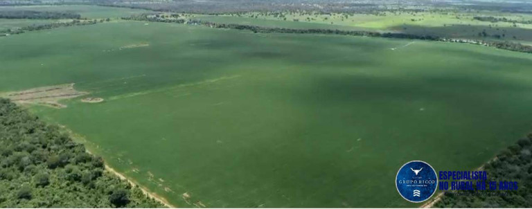 Imagem Fazenda à Venda, 228 m² em Zona Rural - São Miguel Do Araguaia Imagem Fazenda à Venda, 228 m² em Zona Rural - São Miguel Do Araguaia