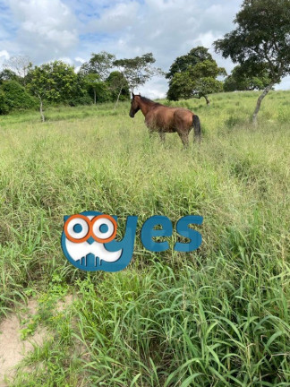 Imagem Imóvel com 6 Quartos à Venda, 78.048 m² em Zona Rural - São Gonçalo Dos Campos Imagem Imóvel com 6 Quartos à Venda, 78.048 m² em Zona Rural - São Gonçalo Dos Campos