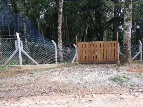 Terreno à Venda, 9.100 m² em Campestre Da Faxina - São José Dos Pinhais
