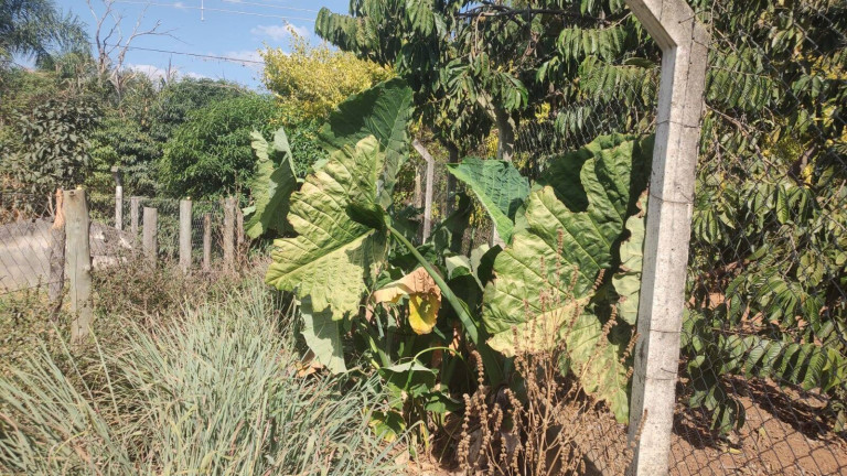 Imagem Chácara com 3 Quartos à Venda, 2.200 m² em Jundiaguara - Araçoiaba Da Serra