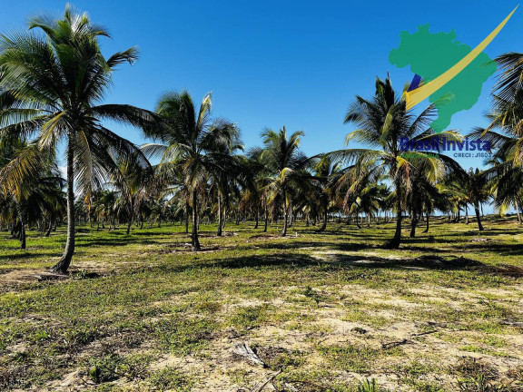Imagem Terreno à Venda, em Orla Norte - Porto Seguro Imagem Terreno à Venda, em Orla Norte - Porto Seguro