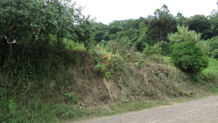 Imagem Terreno à Venda, 883 m² em Petrópolis - Concórdia Imagem Terreno à Venda, 883 m² em Petrópolis - Concórdia