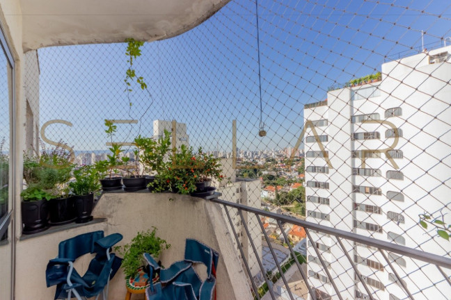 Imagem Apartamento com 3 Quartos à Venda, 92 m² em Vila Ipojuca - São Paulo