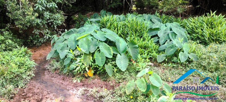 Imagem Chácara à Venda, 21 m² em Centro - Paraisópolis