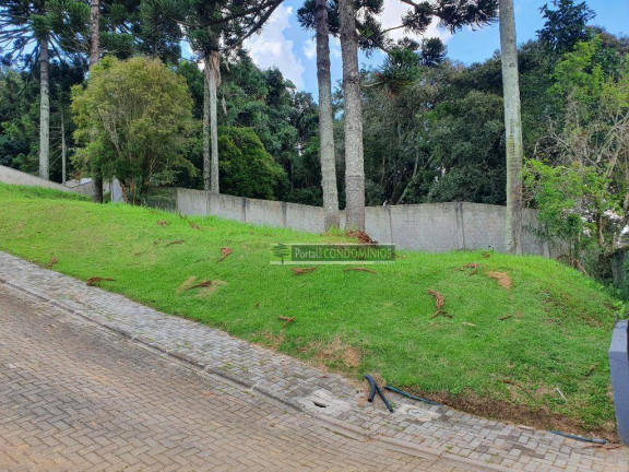 Imagem Terreno à Venda, 607 m² em Campo Comprido - Curitiba