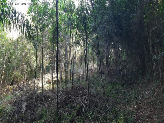 Imagem Terreno à Venda, em Lageana - Gramado Imagem Terreno à Venda, em Lageana - Gramado