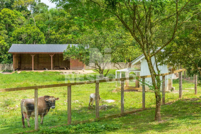 Imagem Terreno à Venda,  em Rio Do Meio - Camboriu