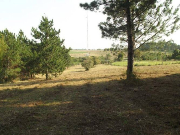Imagem Terreno à Venda, 80.000 m² em águas Claras - Viamão