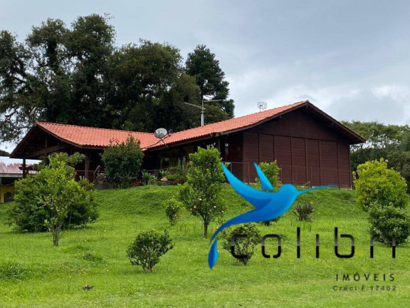 Imagem Chácara com 3 Quartos à Venda, 47.513 m² em Capoeira Dos Dinos - Piraquara Imagem Chácara com 3 Quartos à Venda, 47.513 m² em Capoeira Dos Dinos - Piraquara