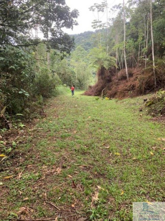 Imagem Chácara à Venda, 126.000 m² em Centro (rio Rosinha) - Rio Dos Cedros