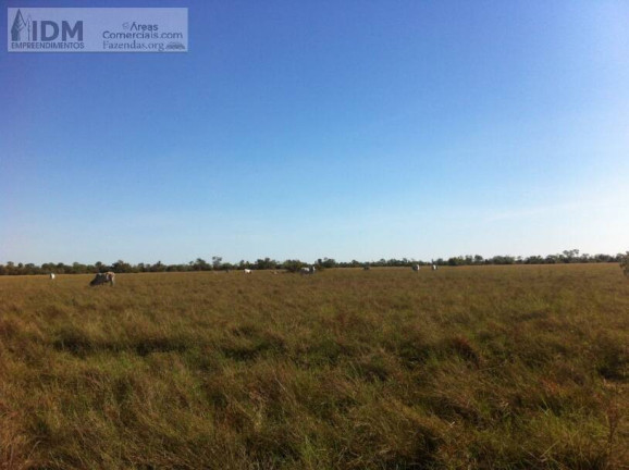 Imagem Chácara à Venda, 300.000.000 m² em Centro - Luciára