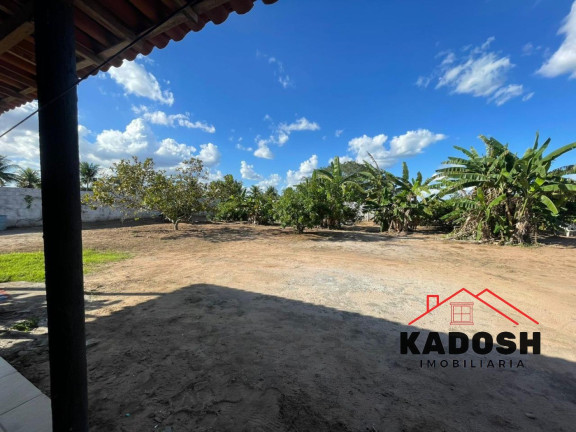 Imagem Imóvel com 3 Quartos à Venda, 4.400 m² em Limoeiro - Feira De Santana Imagem Imóvel com 3 Quartos à Venda, 4.400 m² em Limoeiro - Feira De Santana
