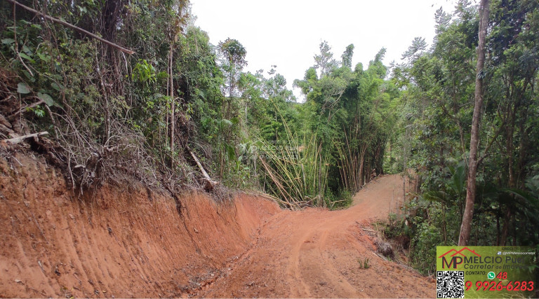 Imagem Imóvel à Venda,  em Loro - Major Gercino