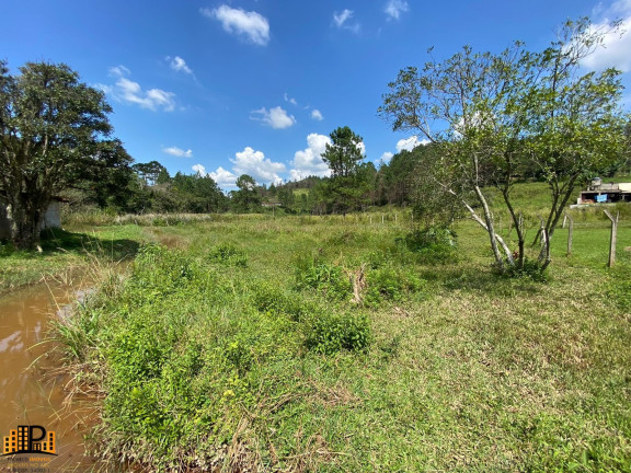 Imagem Imóvel com 2 Quartos à Venda, 7.000 m² em Girassol - São Lourenço Da Serra Imagem Imóvel com 2 Quartos à Venda, 7.000 m² em Girassol - São Lourenço Da Serra
