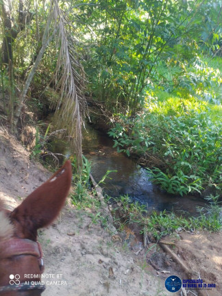 Imagem Chácara à Venda, 14 m² em Zona Rural - Itapuranga Imagem Chácara à Venda, 14 m² em Zona Rural - Itapuranga