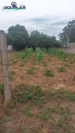 Terreno à Venda,  em águas Claras - Viamão