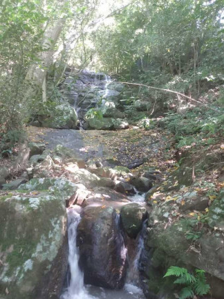 Imagem Imóvel à Venda, 7.700 m² em Voluntária Baixa - Igrejinha Imagem Imóvel à Venda, 7.700 m² em Voluntária Baixa - Igrejinha