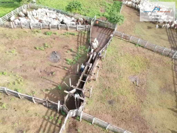 Imagem Fazenda à Venda, 58.000 m² em Cáceres