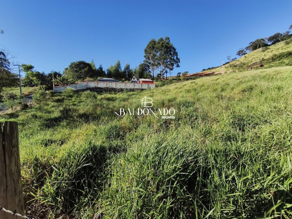 Imagem Imóvel com 3 Quartos à Venda, 18.000 m² em Centro - Munhoz Imagem Imóvel com 3 Quartos à Venda, 18.000 m² em Centro - Munhoz