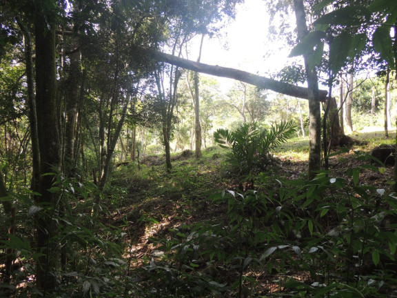 Imagem Terreno à Venda, 20.000 m² em Macacu - Garopaba Imagem Terreno à Venda, 20.000 m² em Macacu - Garopaba