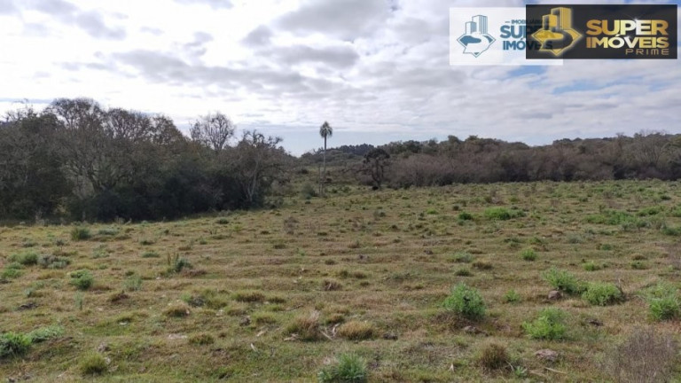 Imagem Imóvel com 2 Quartos à Venda, 580.000 m² em Centro - Canguçu