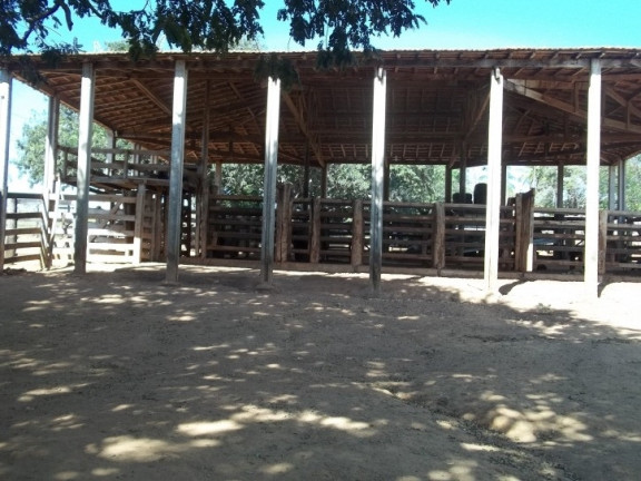 Imagem Fazenda à Venda, 222 m² em Zona Rural - Professor Jamil Imagem Fazenda à Venda, 222 m² em Zona Rural - Professor Jamil
