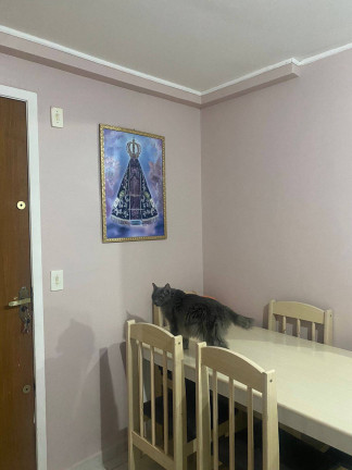 Imagem Apartamento com 2 Quartos à Venda, 43 m² em Rio Pequeno - São José Dos Pinhais Imagem Apartamento com 2 Quartos à Venda, 43 m² em Rio Pequeno - São José Dos Pinhais