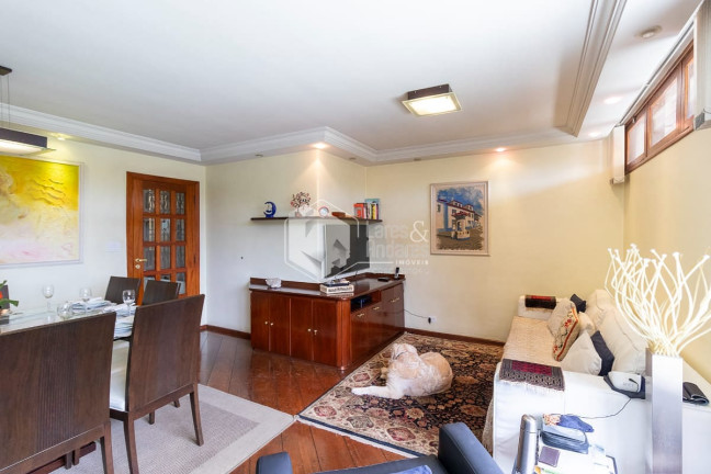 Imagem Casa com 3 Quartos à Venda, 300 m² em Chácara Monte Alegre - São Paulo Imagem Casa com 3 Quartos à Venda, 300 m² em Chácara Monte Alegre - São Paulo