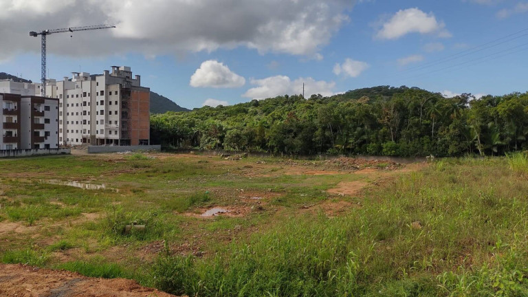Imagem Terreno à Venda, 12.857 m² em Centro - Camboriú