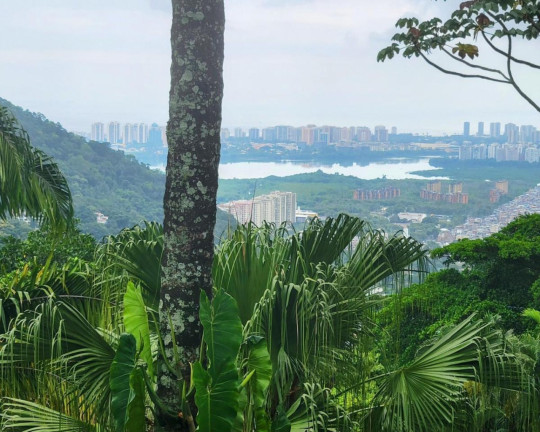 Imóvel com 6 Quartos para Alugar, 850 m² em Anil - Rio De Janeiro