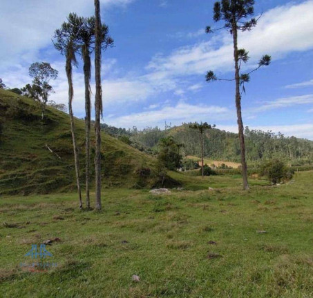 Imagem Terreno à Venda, 100.000 m² em Centro - Angelina Imagem Terreno à Venda, 100.000 m² em Centro - Angelina