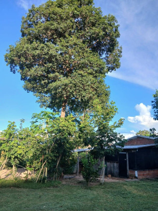 Imagem Chácara à Venda, 35 m² em Arapongas Imagem Chácara à Venda, 35 m² em Arapongas