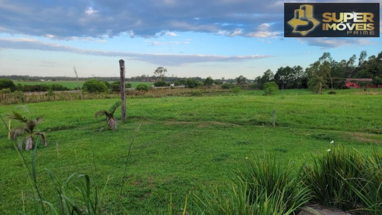 Imagem Imóvel com 3 Quartos à Venda, 20.000 m² em Fragata - Pelotas