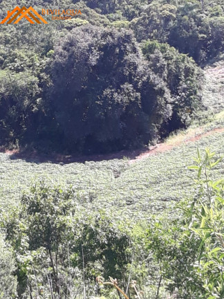 Imagem Terreno à Venda, 6 m² em Costa De Baixo - Imarui