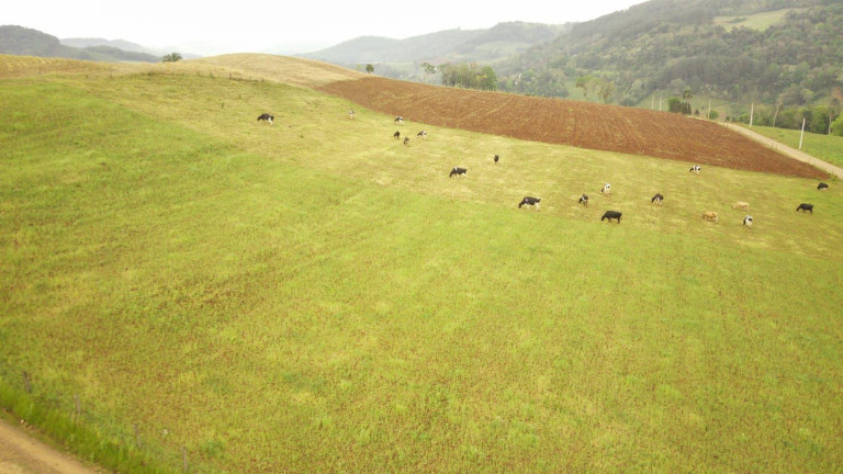 Imagem Terreno à Venda, 267.000 m² em Rural - Concórdia Imagem Terreno à Venda, 267.000 m² em Rural - Concórdia