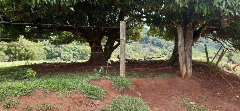 Imagem Chácara à Venda, 13 m² em Rural - Piraju Imagem Chácara à Venda, 13 m² em Rural - Piraju