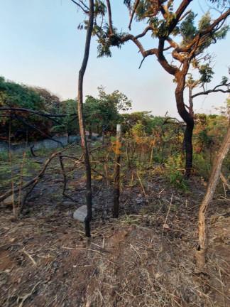 Imagem Terreno à Venda, 1 m² em Recanto Da Lagoa - Lagoa Santa Imagem Terreno à Venda, 1 m² em Recanto Da Lagoa - Lagoa Santa