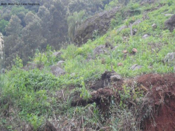 Imagem Terreno à Venda, 697 m² em Piá - Nova Petrópolis Imagem Terreno à Venda, 697 m² em Piá - Nova Petrópolis