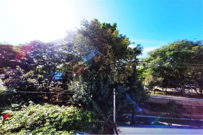 Imagem Casa com 4 Quartos à Venda, 165 m² em Jardim Petrópolis - São Paulo Imagem Casa com 4 Quartos à Venda, 165 m² em Jardim Petrópolis - São Paulo