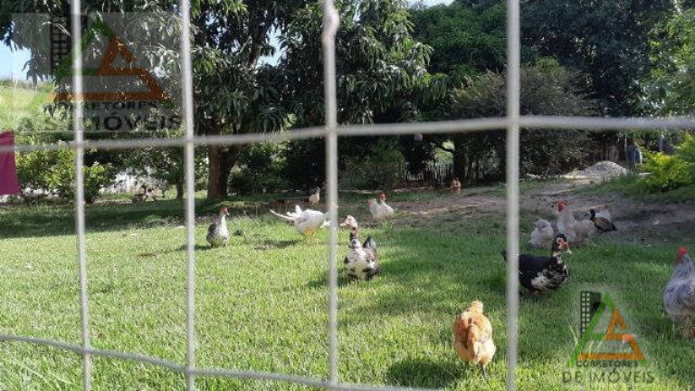 Imagem Chácara com 3 Quartos à Venda, 1.503 m² em Chácaras De Inoã - Maricá Imagem Chácara com 3 Quartos à Venda, 1.503 m² em Chácaras De Inoã - Maricá