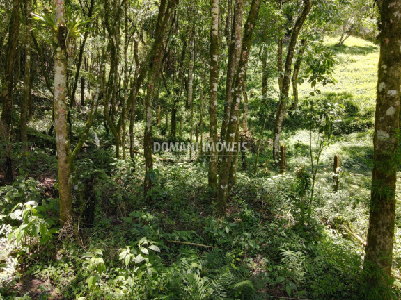 Imagem Terreno à Venda, 970 m² em Região Do Alto Da Vila Inglesa - Campos Do Jordão Imagem Terreno à Venda, 970 m² em Região Do Alto Da Vila Inglesa - Campos Do Jordão