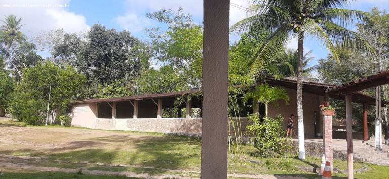 Imagem Imóvel com 30 Quartos à Venda, 40.000 m² em Indústrias - João Pessoa Imagem Imóvel com 30 Quartos à Venda, 40.000 m² em Indústrias - João Pessoa