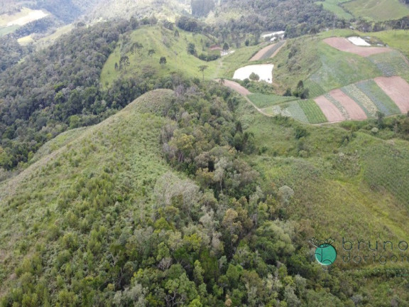Imagem Imóvel com 2 Quartos à Venda, 225.000 m² em Zona Rural - Bom Retiro Imagem Imóvel com 2 Quartos à Venda, 225.000 m² em Zona Rural - Bom Retiro