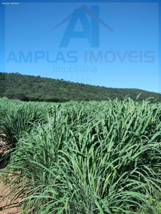 Fazenda à Venda, 4.050 m² em Jaíba