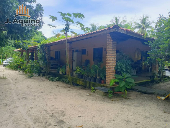 Imagem Chácara com 4 Quartos à Venda, 10 m² em Patacas - Aquiraz Imagem Chácara com 4 Quartos à Venda, 10 m² em Patacas - Aquiraz